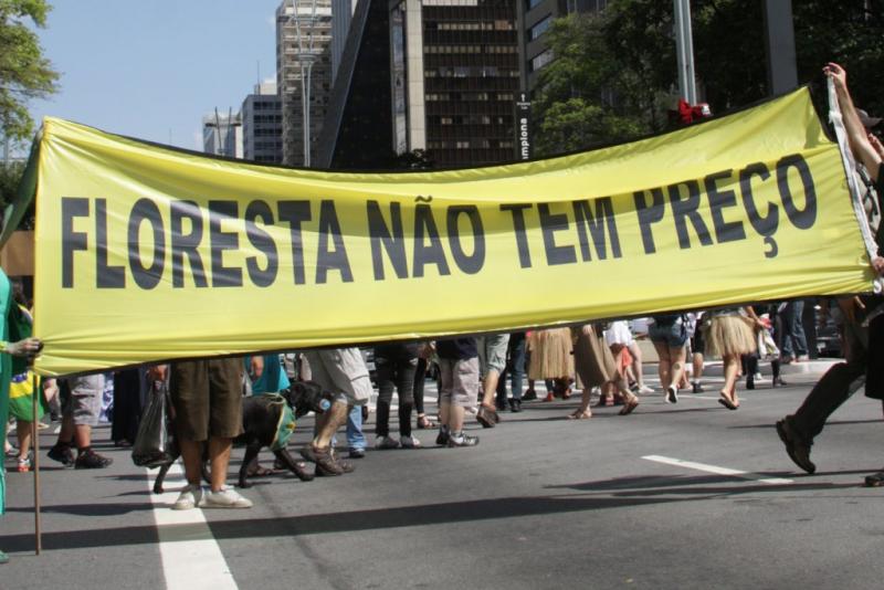 Floresta não tem preço