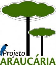 Logomarca Projeto Araucária