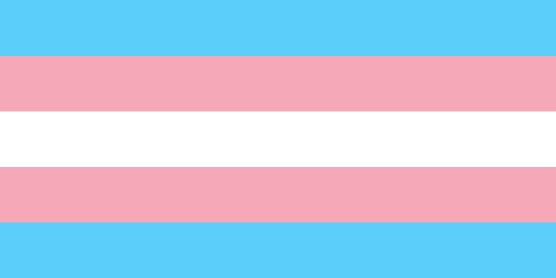 Bandeira trans