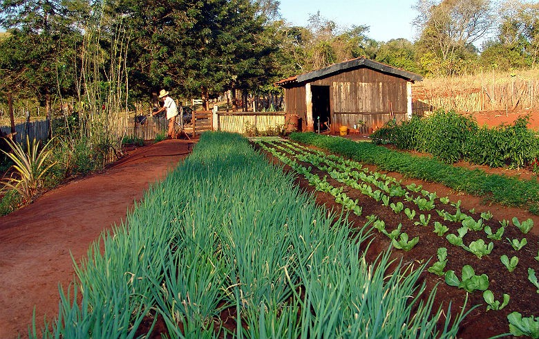 por JOSÉ REYNALDO DA FONSECA / CC WIKIMEDIA COMMONS