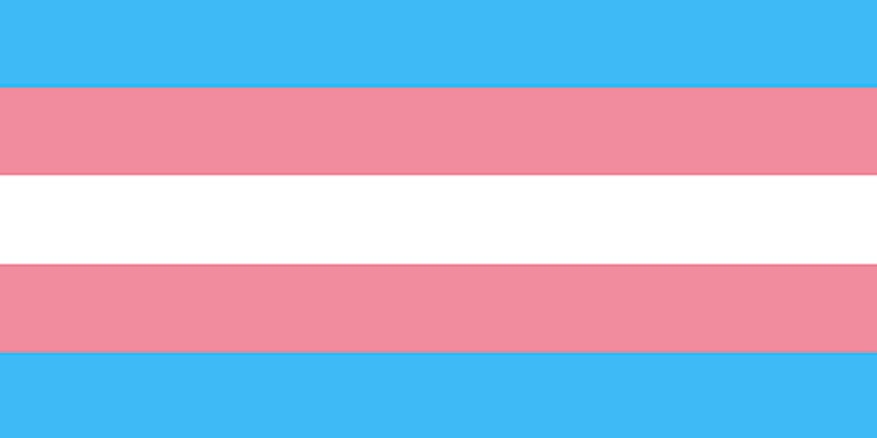 Bandeira Visibilidade Trans